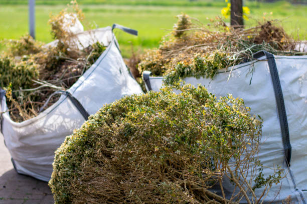 Best Attic Cleanout Services  in Mount Vernon, IL